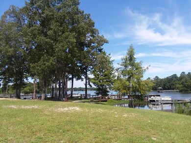 Dobson Lake View