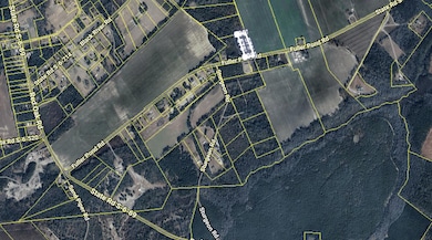 00 Fuller Pond Rd, Barnwell, SC 29812 - photo 3