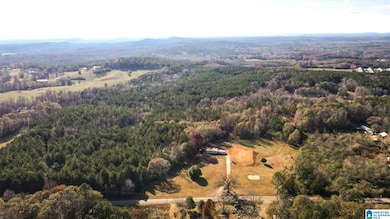 1175 County Road 57, Lineville, AL 36266 - photo 4