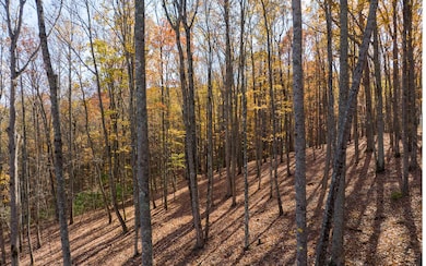 Lot 17R Tanager Trail, Ellijay, GA 30536 - photo 4