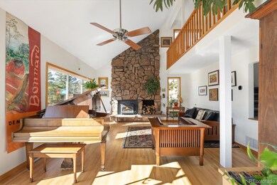 198 Frontier Ln, Nederland, CO 80466 - photo 5