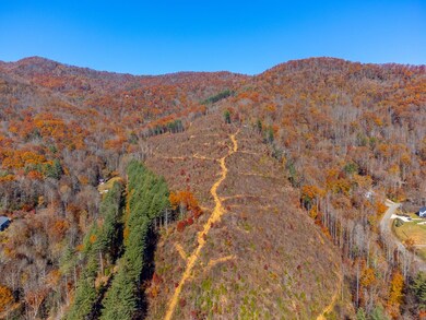 0 Greenway Rd unit 26042740, Sylva, NC 28771 - photo 5