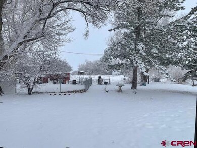 16424 Bull Mesa Rd, Cedaredge, CO 81413 - photo 3