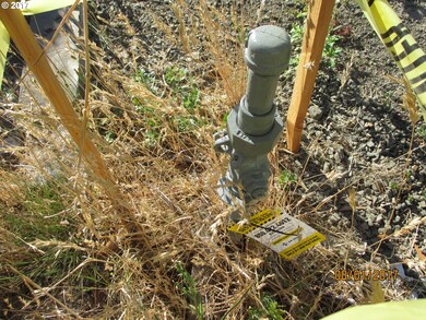 902 7th St, Lafayette, OR 97127 - photo 6