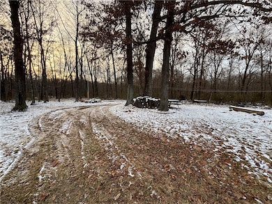 0 Kings Hill Rd, Sumner, IL 62466 - photo 3