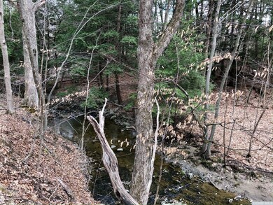 23 Woodpecker Ct, Coxsackie, NY 12051 - photo 5