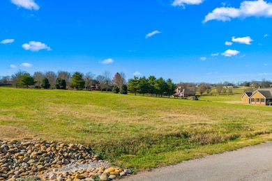 Lot 66 River Dr, Blaine, TN 37709 - photo 2