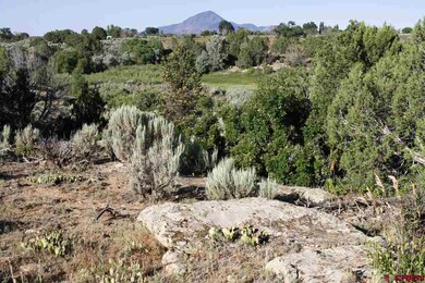 0 Road 22 unit 761013, Cortez, CO 81321 - photo 5