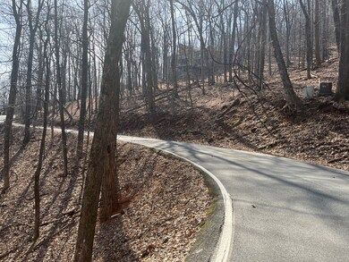 1400 Valley View Dr unit 7062, Jasper, GA 30143 - photo 3