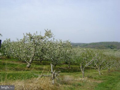 7836 Water St, Boyertown, PA 19512 - photo 4