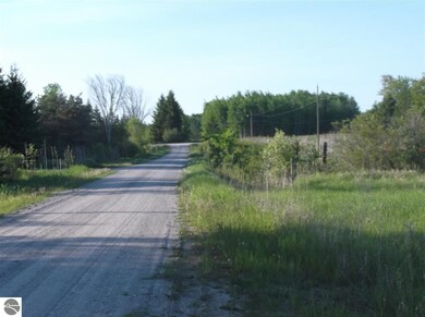 14/15 Wilson Creek Rd, Hale, MI 48739 - photo 3