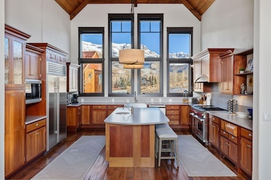 172 Adams Ranch Rd unit 412, Telluride, CO 81435 - photo 7