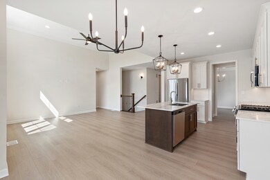 12193 Curragh Meadow Way, Lemont, IL 60439 - photo 7