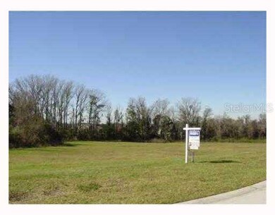 9823 Belmont Park Dr, Dade City, FL 33525 - photo 4