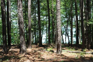 134 Bridgeland Trail unit Lot 3, Statesville, NC 28677 - photo 4