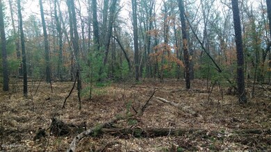 IMG_20160419_112940299