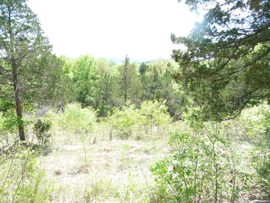 Tbd Elm St, Ruth B Rural Township, MO 65686 - photo 2