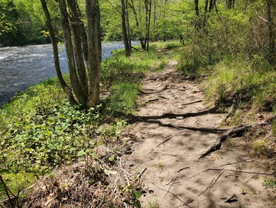 145 & 146 Mountain Top Rd, Lackawaxen Township, PA 18435 - photo 7