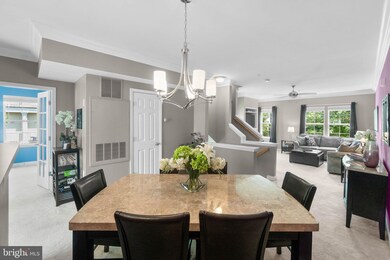 42528 Hollyhock Terrace, Ashburn, VA 20148 - photo 6