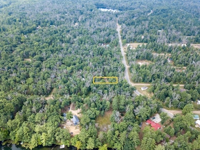 8532 1st St, Baldwin, MI 49304 - photo 6