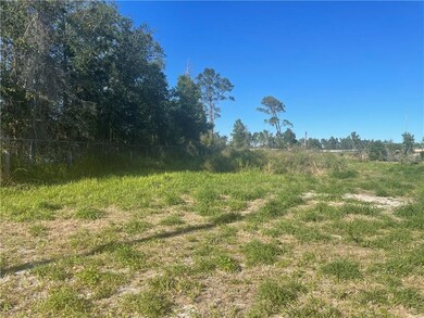 745 7th Ave, Gotha, FL 34734 - photo 3