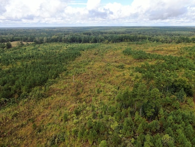 Mt Gilead Rd, Holly Springs, MS 38635 - photo 7