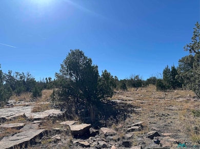 158.81 ac Off Cr B27a Rd, Bernal, NM 87569 - photo 5