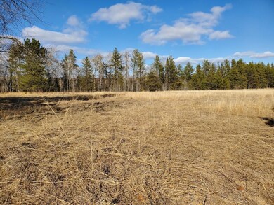 27548 S River Rd, Webb Lake, WI 54830 - photo 5