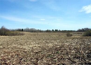 60 Acres Olesiak Rd, Weyerhaeuser, WI 54895 - photo 5