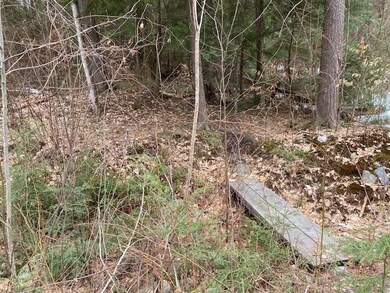 17 Nina Lee, Putney, VT 05346 - photo 7