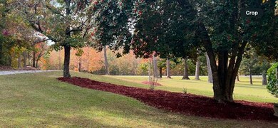 1752 Front yard 1
