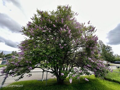 Lilac Tree