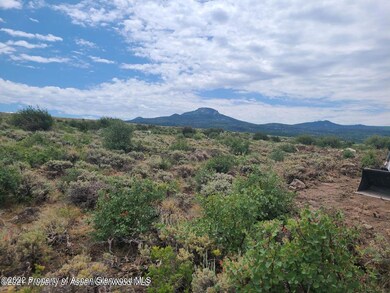 1024 Eagle Loop (7)