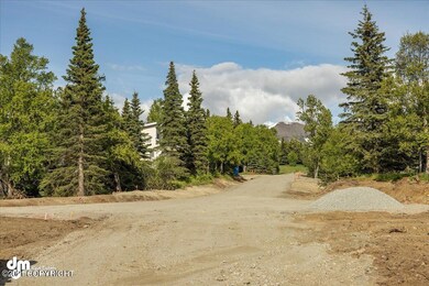 L4 Snow Flake Cir, Anchorage, AK 99516 - photo 7