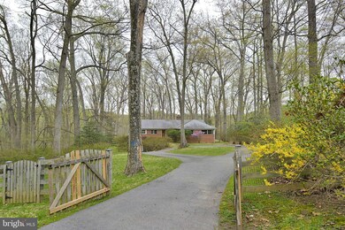 12043 Remington Dr, Silver Spring, MD 20902 - photo 2