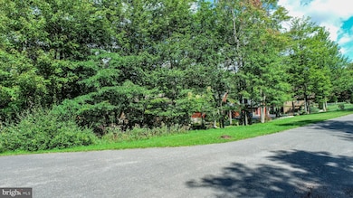 103 Birdsong Way, McHenry, MD 21541 - photo 2