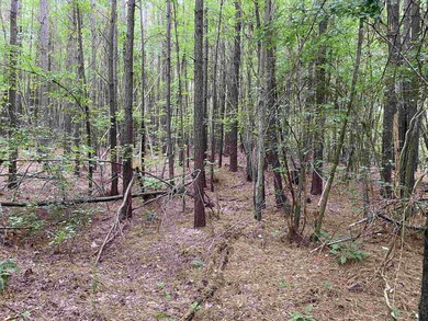 0 Sterl Carrington Rd, Oxford, NC 27565 - photo 4