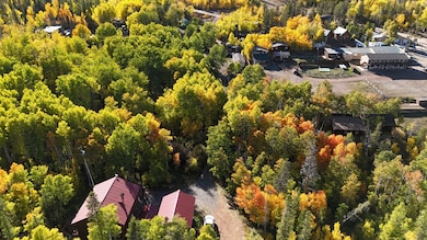 1124 Wyoming 11, Laramie, WY 82070 - photo 6