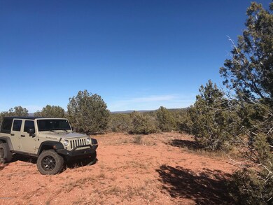 35 Cooks Trail, Ash Fork, AZ 86320 - photo 4