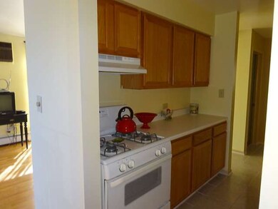6117 W 64th Place unit 4, Chicago, IL 60638 - photo 2