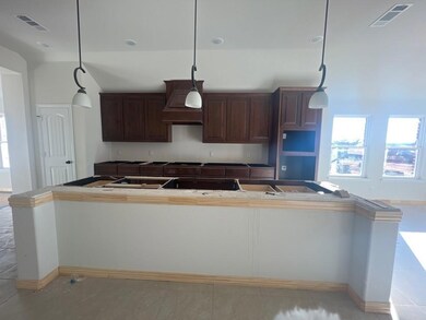 1029 Northern Oaks Ct, Springtown, TX 76082 - photo 5