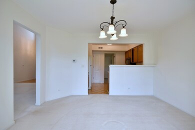 1609 W Orchard Place unit D, Arlington Heights, IL 60005 - photo 7