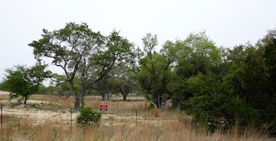 850 Brand Rd, Bulverde, TX 78163 - photo 4