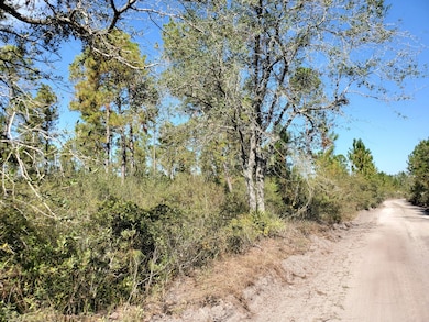 0 SW Prine Rd unit 20907097, Lee, FL 32059 - photo 5