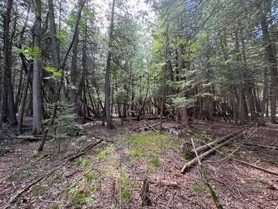 Block 28 Evergreen Rd, Egg Harbor, WI 54209 - photo 4