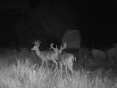 TBD Farm To Market 2481 unit Lot 7 and Lot 8, Stephenville, TX 76401 - photo 4