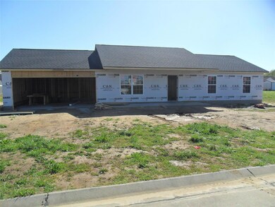 983 Saint Elmo Ln, New Madrid, MO 63869 - photo 3