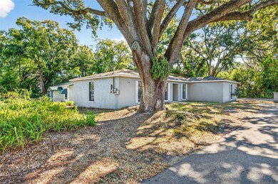 5615 N Mckay Ave, Tampa, FL 33603 - photo 2