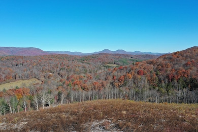 134 Ac. - S Buffalo Rd, Lexington, VA 24450 - photo 5