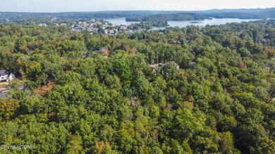 310 Elohi Trace, Loudon, TN 37774 - photo 4